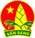 Hoạt động  Liên Đội TNTP HCM